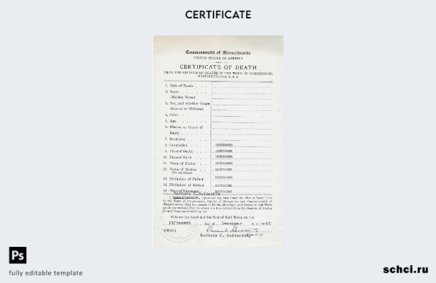 скачать цифровую версию шаблона свидетельства о смерти США, Массачусетс
